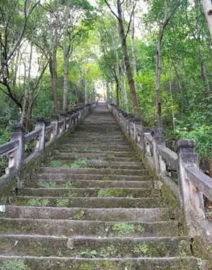成都春季爬山踏青赏花一日游,成都周边踏青二日游自驾游