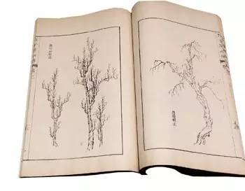 齐白石与芥子园画谱之缘,齐白石画作大全集