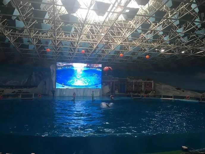 再遇青岛，距上次与你相见已过去了十年