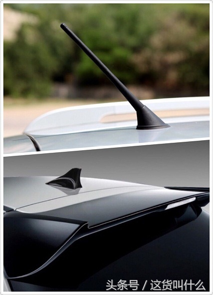 涨知识的100个常识,涨知识100个常识图片