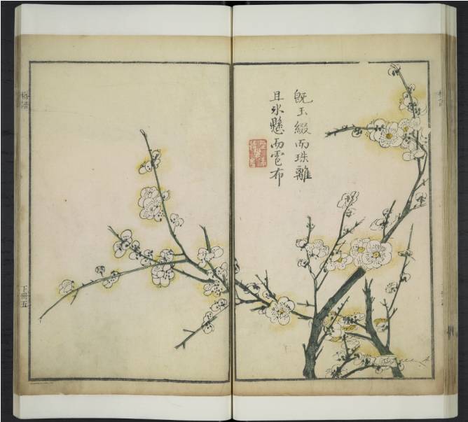 齐白石与芥子园画谱之缘,齐白石画作大全集