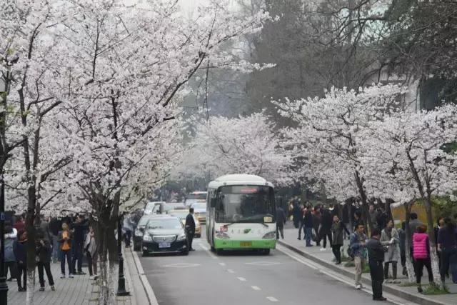 报告老板，我要逃离北京，我请假的的理由是……