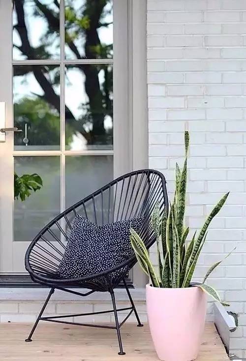 家有萌宠专治各种动物,家有萌宠专治什么病