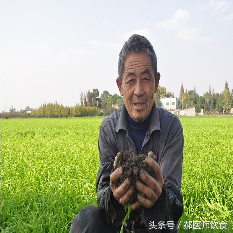 315青汁,没牌子的青汁能买吗