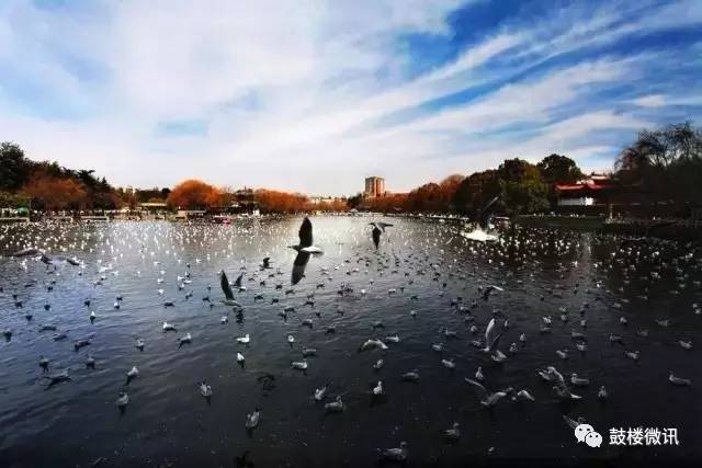 三月这段时间去哪里机票便宜,三月中旬的机票贵吗