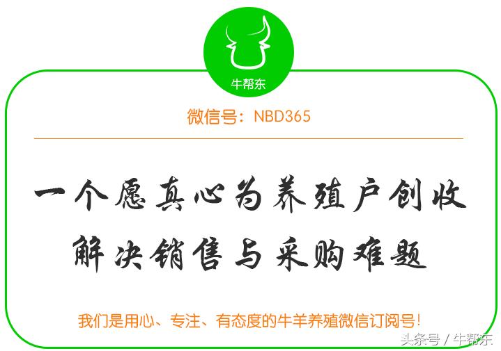 犊牛肺炎的防治措施,犊牛肺炎治疗效果