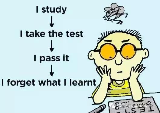 认不出的多肉植物名字大全,多肉植物100个名字
