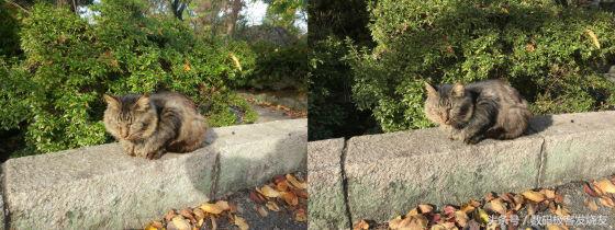 小米手机中的拍照大师——小米Note2开箱评测