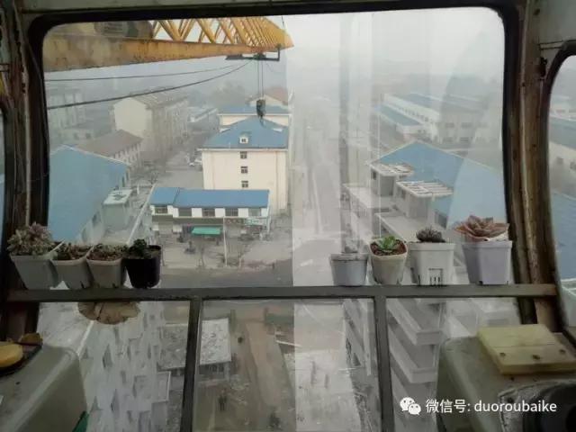 爱上多肉爱上生活,爱上多肉深似海