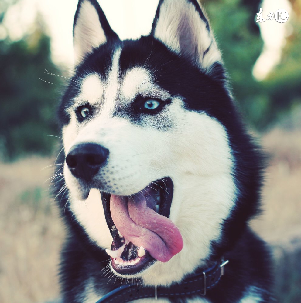 这只股票走势好，是哪支股