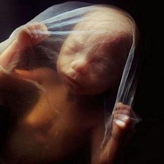 怀孕37天去检查早吗,怀孕检查的时间准吗