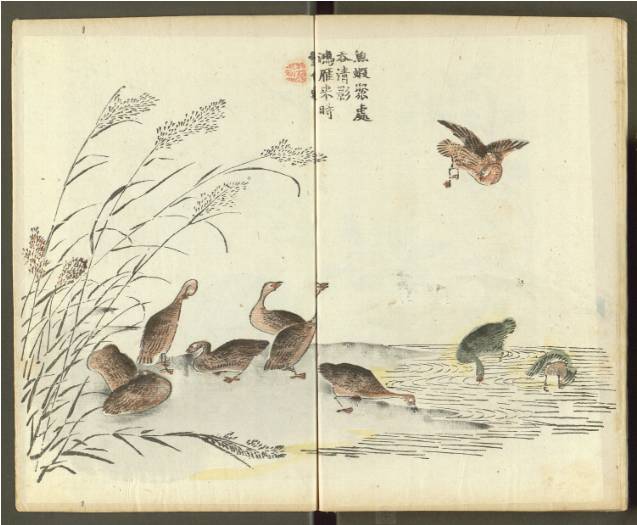 齐白石与芥子园画谱之缘,齐白石画作大全集