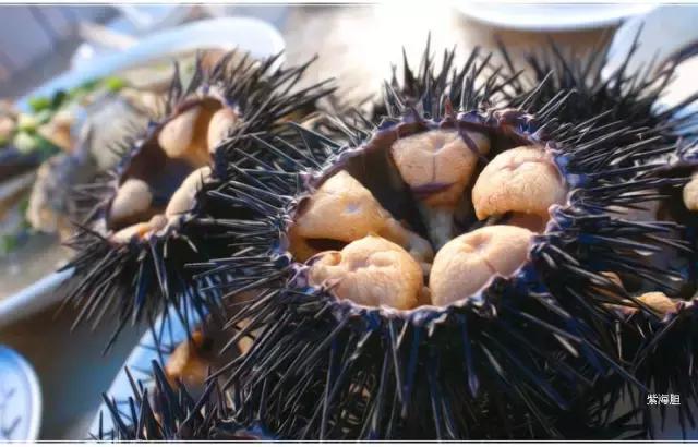 报告老板，我要逃离北京，我请假的的理由是……