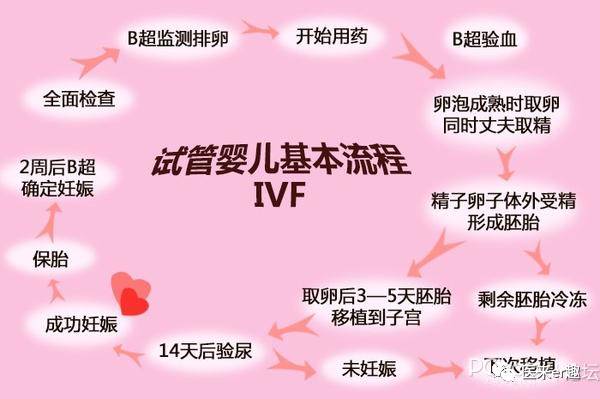 山大生殖医生高芹和唐蓉哪个好,山大生殖的盛燕和高芹哪个好