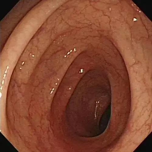 315黑科技大揭秘,315消费者权益日科普小知识广告