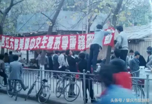 肇庆最好的学院有哪几个,肇庆市最美学校