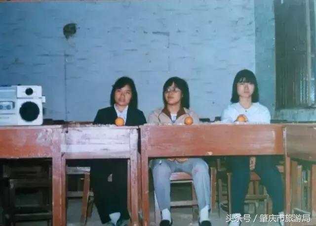 肇庆最好的学院有哪几个,肇庆市最美学校