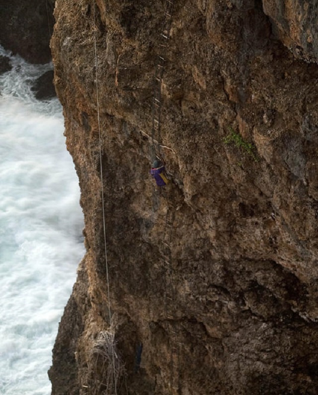 印尼居民就好这口，另类食物据说养生延年，还因此开辟新职业