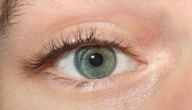 不会画眼线怎么贴假睫毛,不会画眼线怎么画眼影