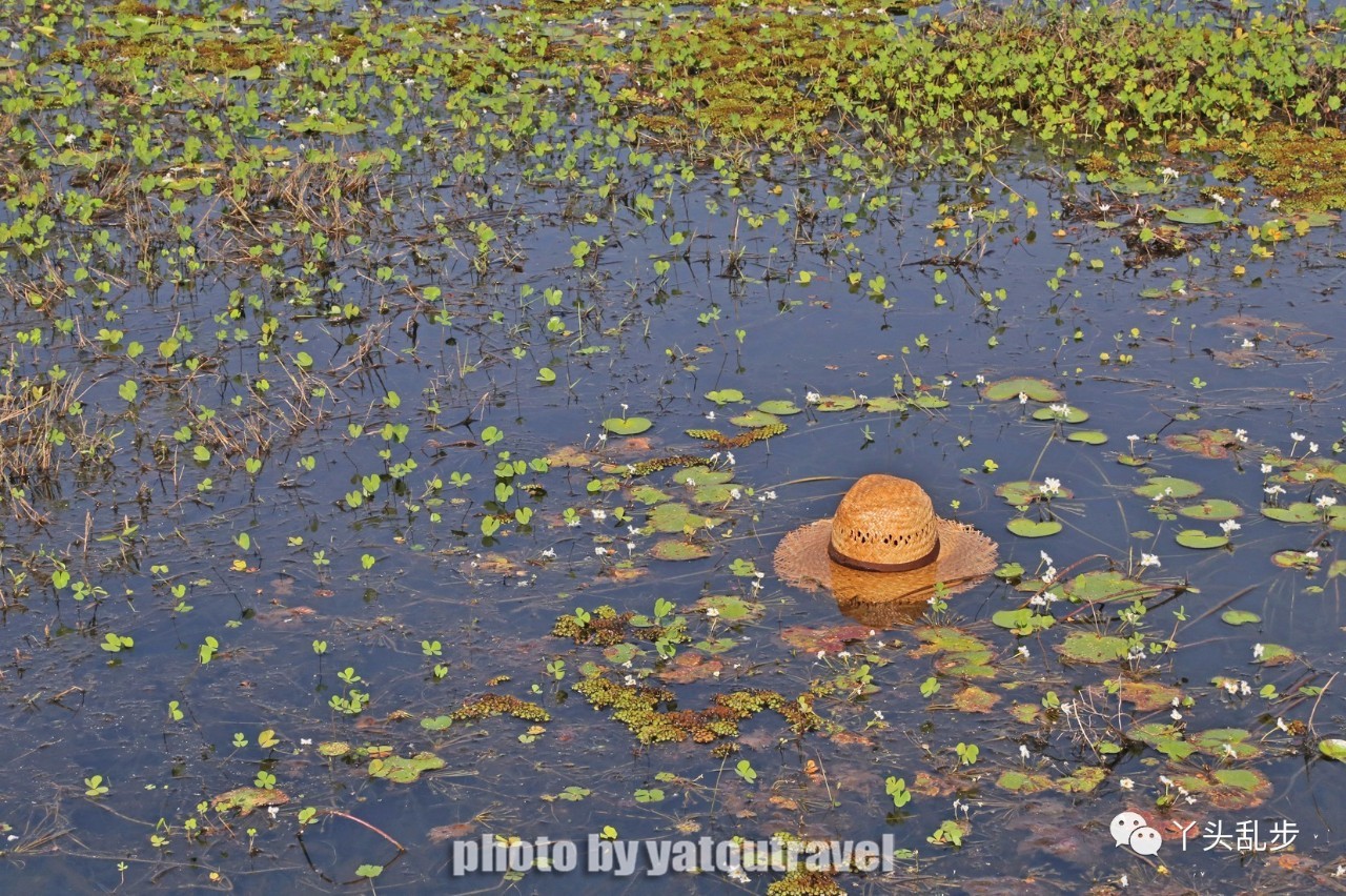 吴哥七大奇迹之地,吴哥窟一座封印了时光的老城