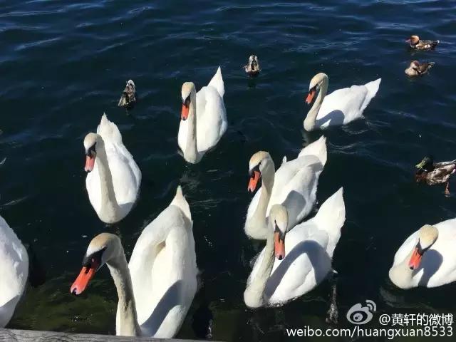 黄轩关心文咏珊,黄轩burberry