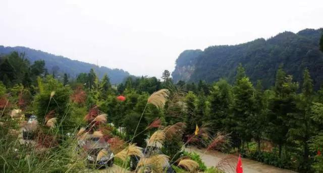 成都春季爬山踏青赏花一日游,成都周边踏青二日游自驾游