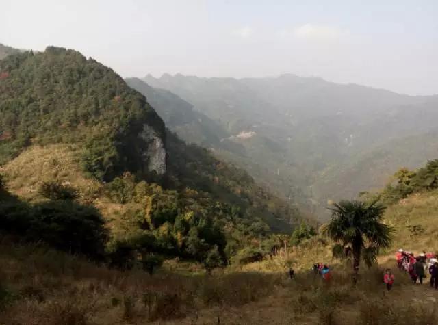 成都春季爬山踏青赏花一日游,成都周边踏青二日游自驾游