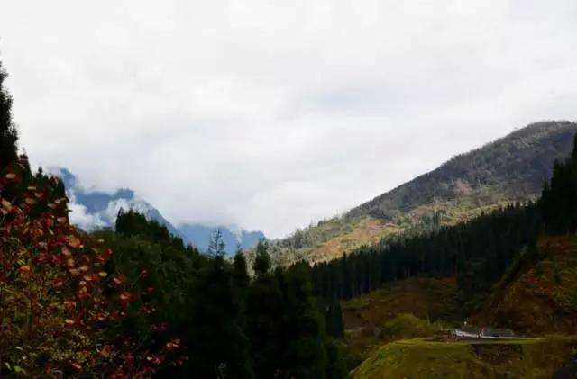 成都春季爬山踏青赏花一日游,成都周边踏青二日游自驾游