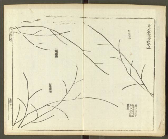 齐白石与芥子园画谱之缘,齐白石画作大全集