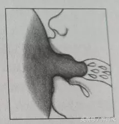 宝宝用奶瓶后不愿意吸奶了,宝宝用奶瓶喂还会喝母乳吗