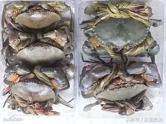 福州特产伴手礼哪里有卖的,福州有哪些可以送礼的干货特产