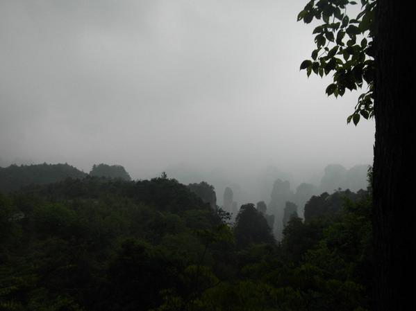 张家界风景太美下雨天却看不清,张家界下雨天哪里好玩