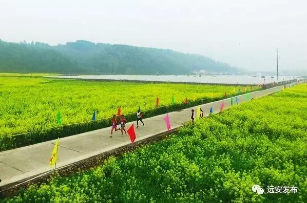 远安县跑步,远安马拉松有s区吗