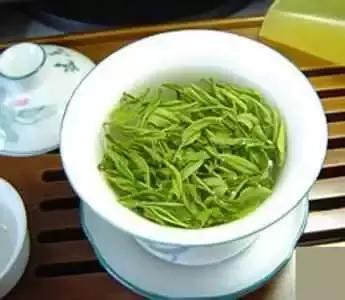 茶绿茶叶知识大全,茶知识大全龙井茶