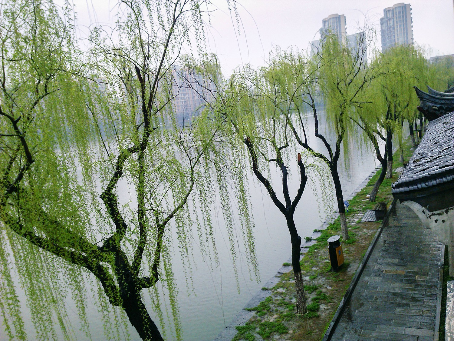 儿童尘螨过敏性鼻炎怎么治,儿童过敏性鼻炎尘螨过敏