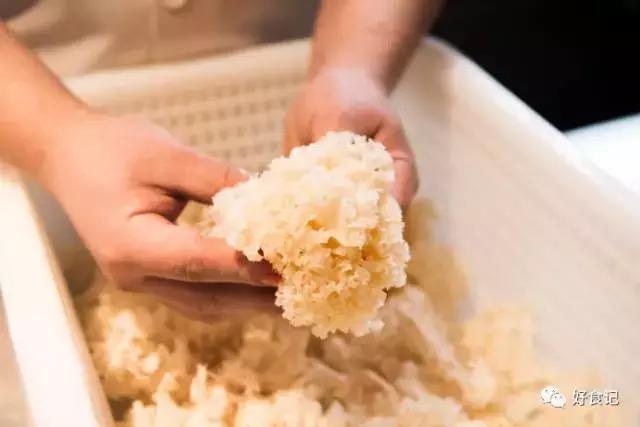 绣球菌成精了！280天的等待，唇齿相依的一刻，你会爱上她吗？