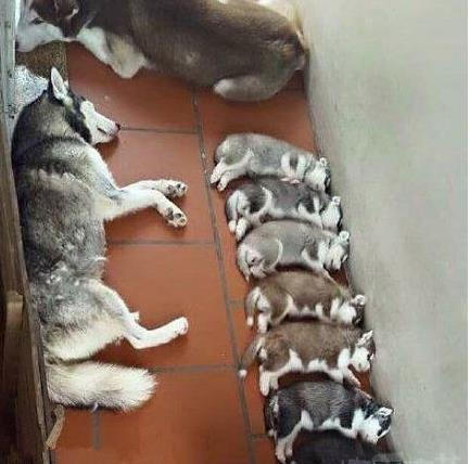 女生着火了怎么办,着火为啥不能用嘴吹