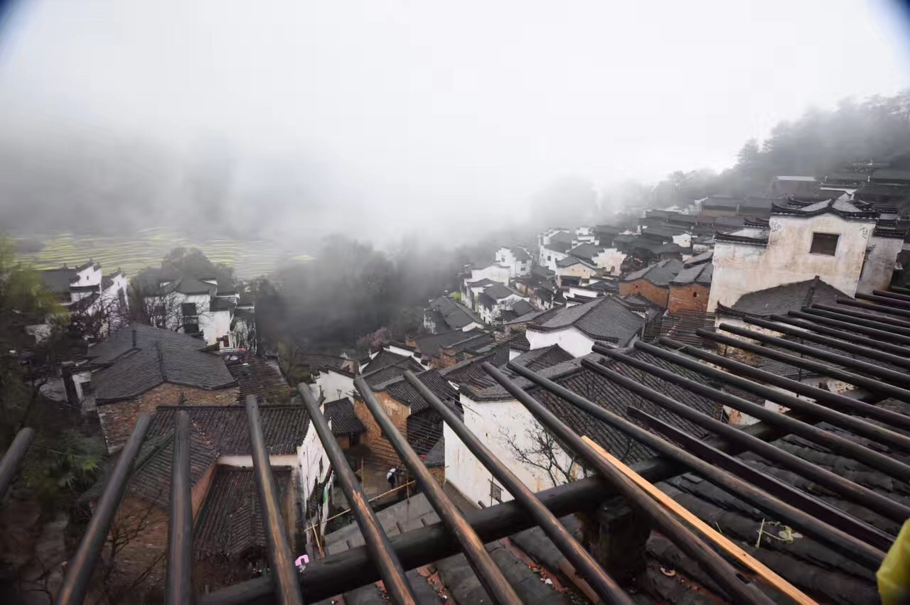 不用去杨幂的狐狸洞看桃花啦，有一个地方的油菜花比那还美