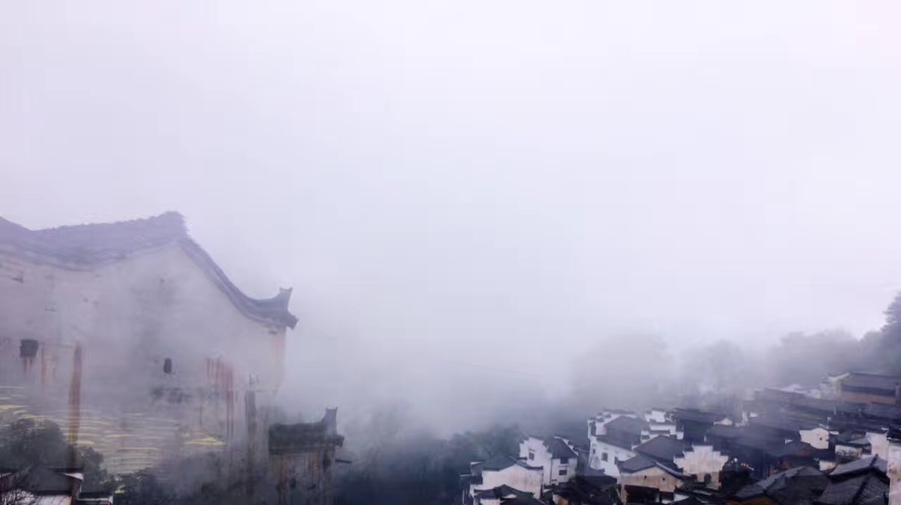 不用去杨幂的狐狸洞看桃花啦，有一个地方的油菜花比那还美