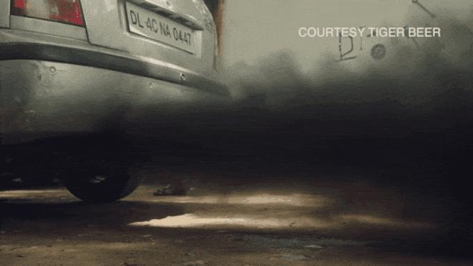 中国老毒物有哪些,老毒物又是老毒物