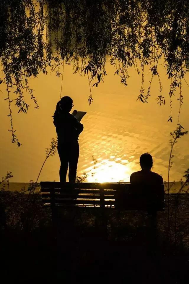 河科大考研为什么没有初试排名,河科大机械考研复试线