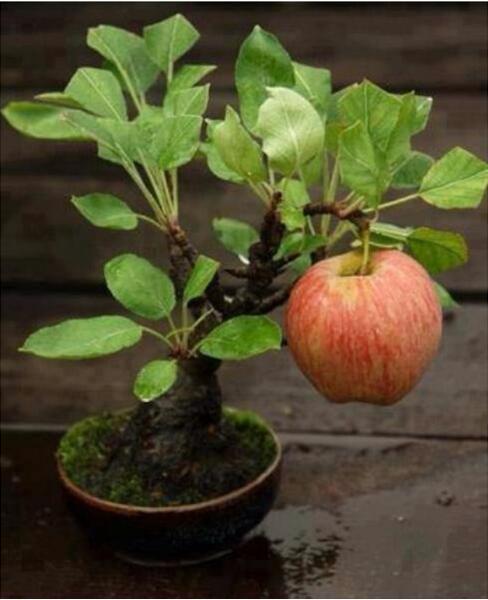 电影不是我干的,这事真不是我干的