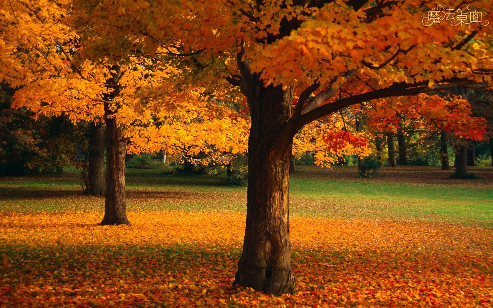 基督徒人际关系关注事项,基督徒人际关系怎样处理