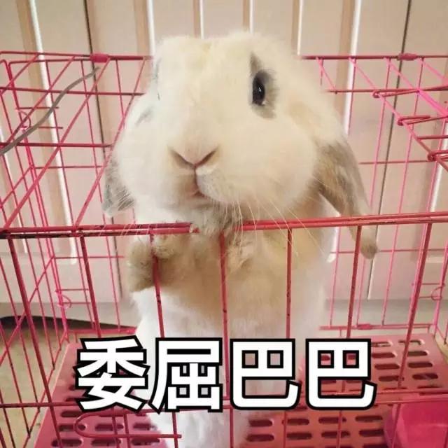 你眼中的程序员是什么样子,别人眼中的程序员vs真实的程序员