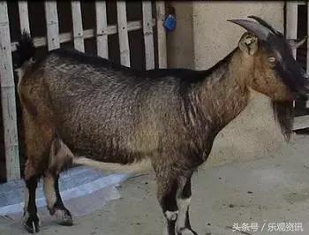 福州特产伴手礼哪里有卖的,福州有哪些可以送礼的干货特产