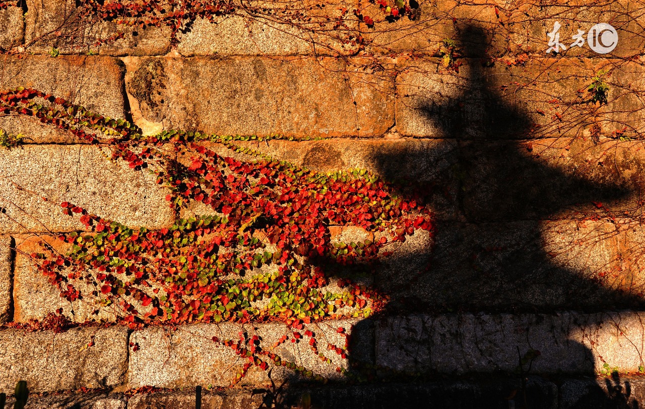 癌症胸闷气喘,癌症身体难受的时候希望有人陪