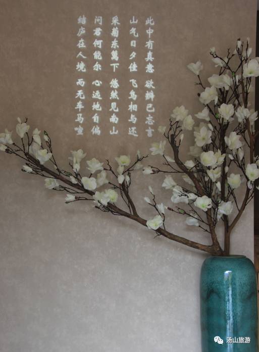 李家村一座水上桃源，与你约会这个春天