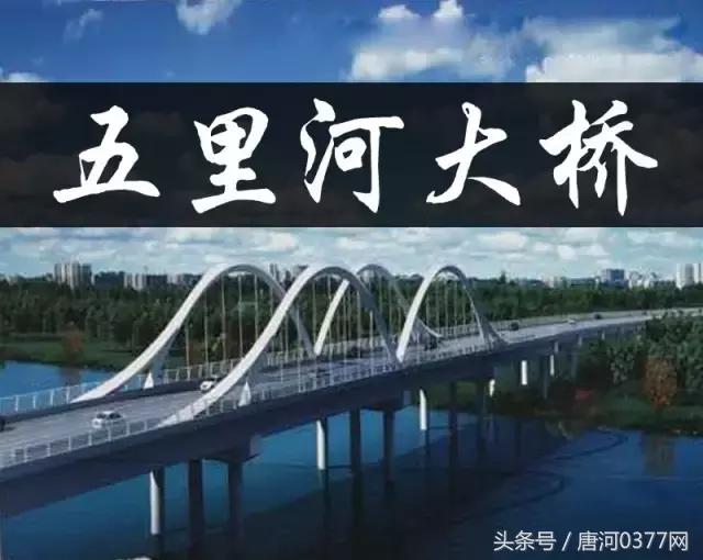 唐河，你就是一个P？