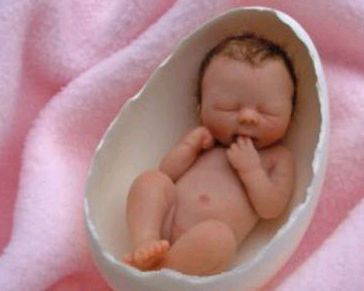 29周胎儿早产亲身经历,28周胎儿早产亲身经历