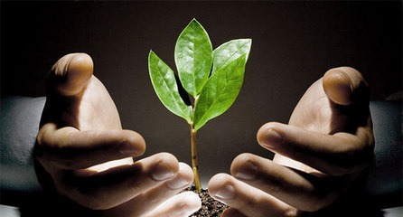 我想要创业,想要创业该如何做起